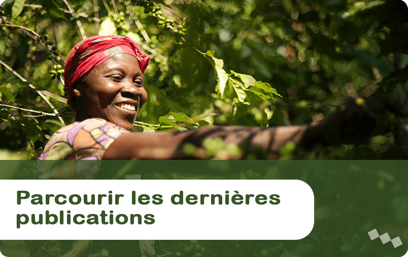 Parcourir les dernières publications